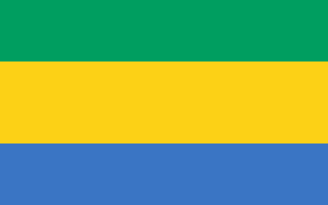 Le Gabon est au bord de la guerre civile. La France et la communauté internationale doivent prendre leurs responsabilités !