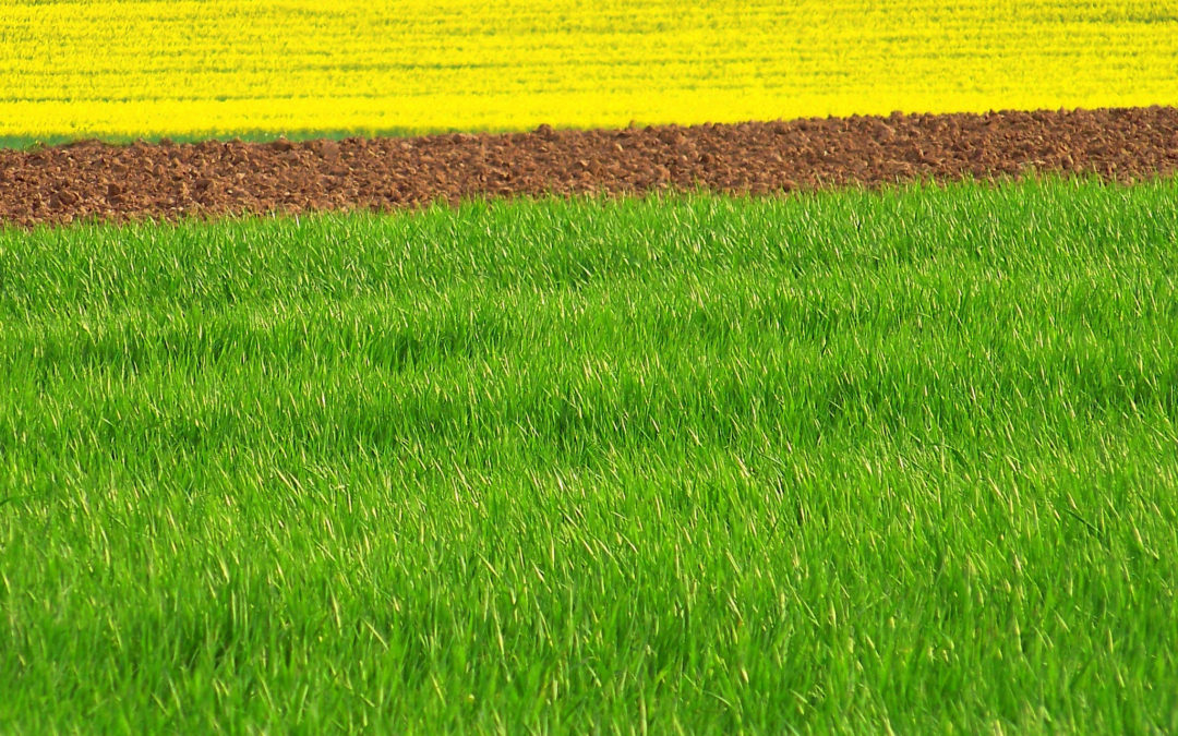 Qui veut la peau de la ruralité ?