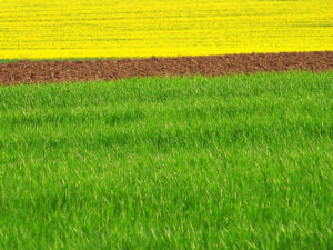 Qui veut la peau de la ruralité _