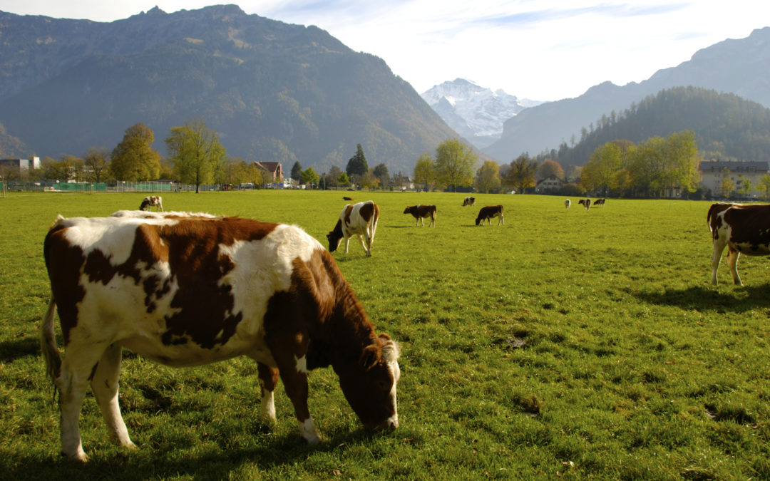 L’UDI tient à réaffirmer son entier soutien au monde agricole et à l’agriculture française