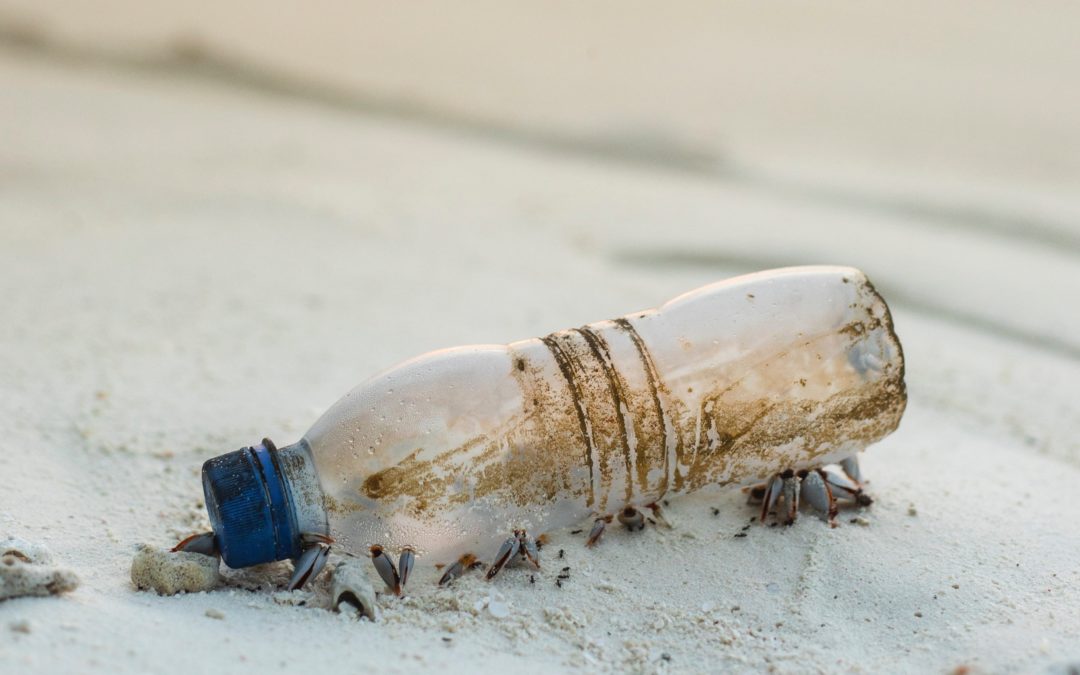 Interdiction des objets plastiques à usage unique : pas question de reculer !