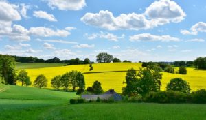 Agriculture – Jean-Christophe Lagarde avance ses propositions