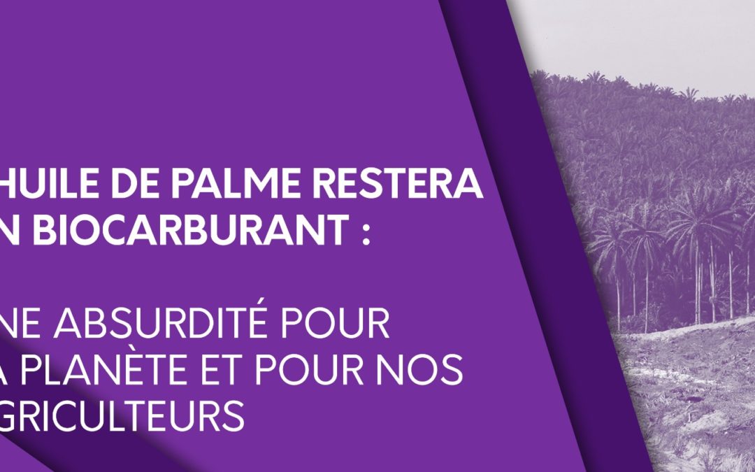 L’huile de palme restera un biocarburant : une absurdité pour la planète et pour nos agriculteurs