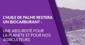 L’huile de palme restera un biocarburant – une absurdité pour la planète et pour nos agriculteurs