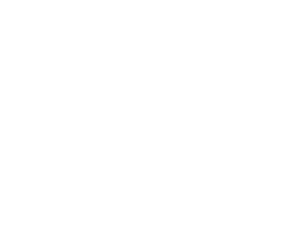 UDI