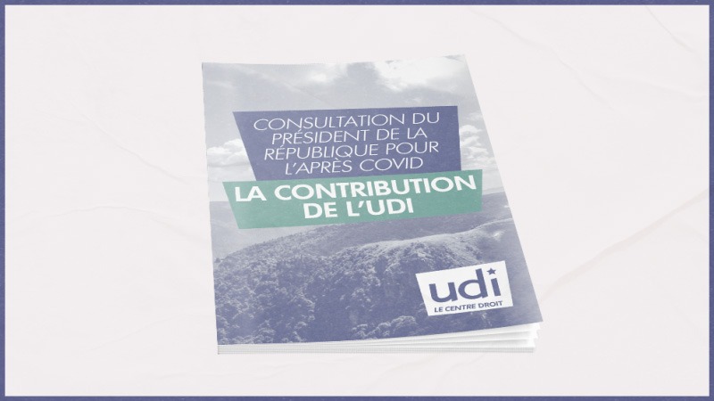 La contribution UDI à la consultation du Président de la République