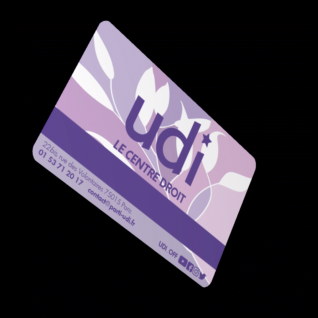 CARTE_UDI_2022