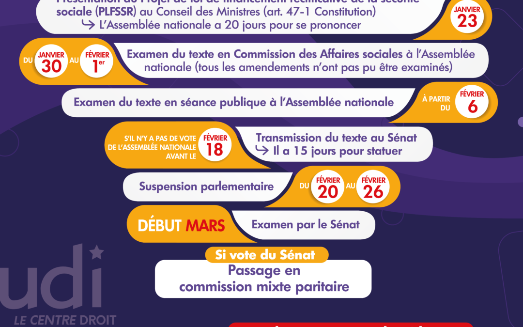 Réforme des retraites : comment ça se passe au Parlement ?