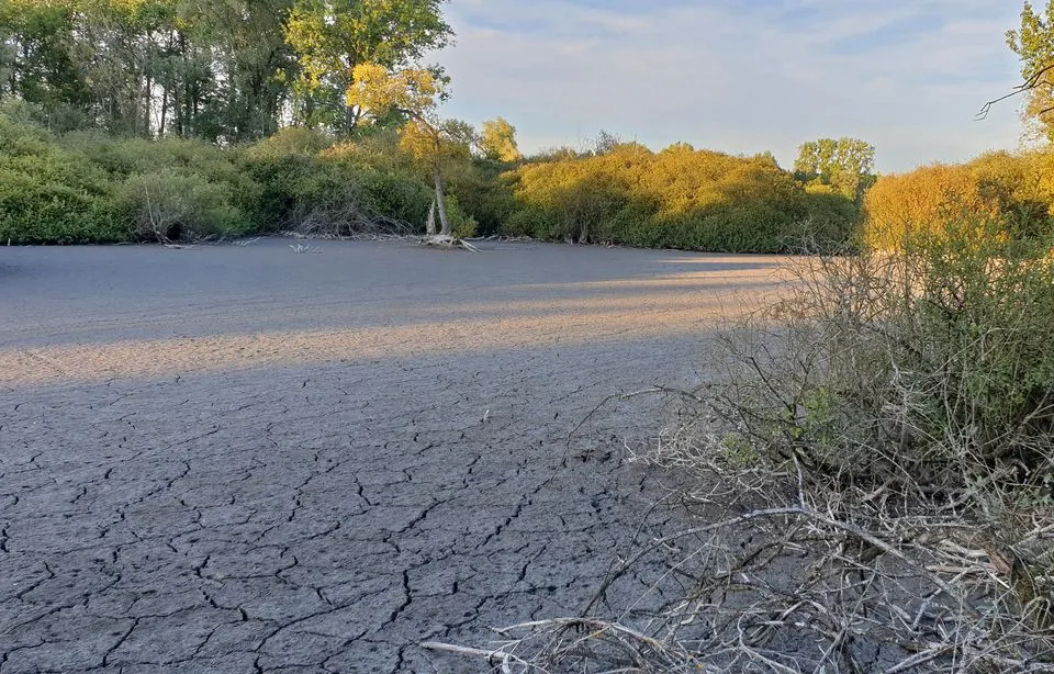 Quand les territoires se mobilisent pour préserver l’eau