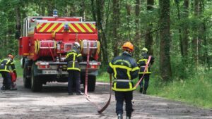 Pompiers Forets