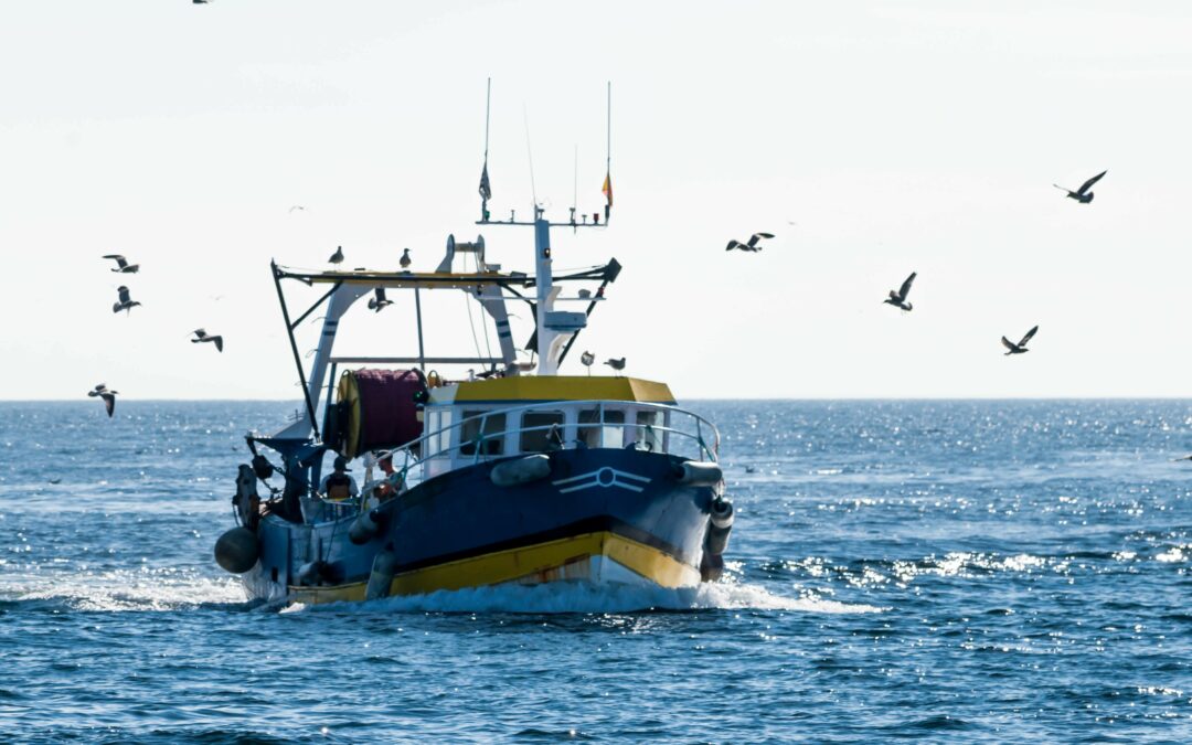 Renforcer la pêche française, un enjeu de souveraineté et d’avenir 