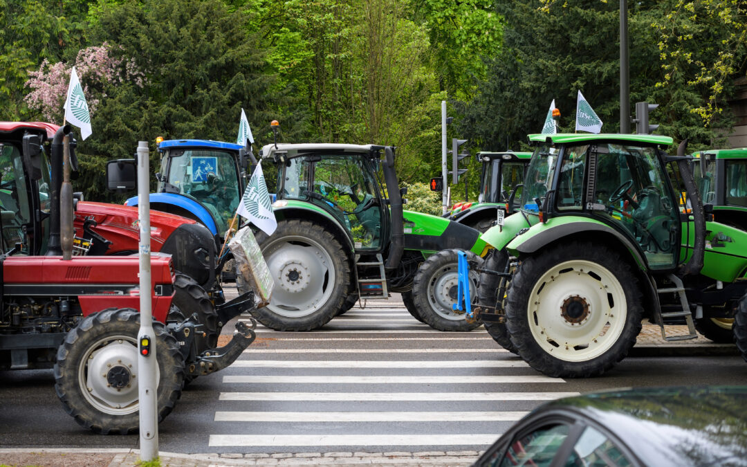 L’agriculture en crise : le désarroi des agriculteurs français