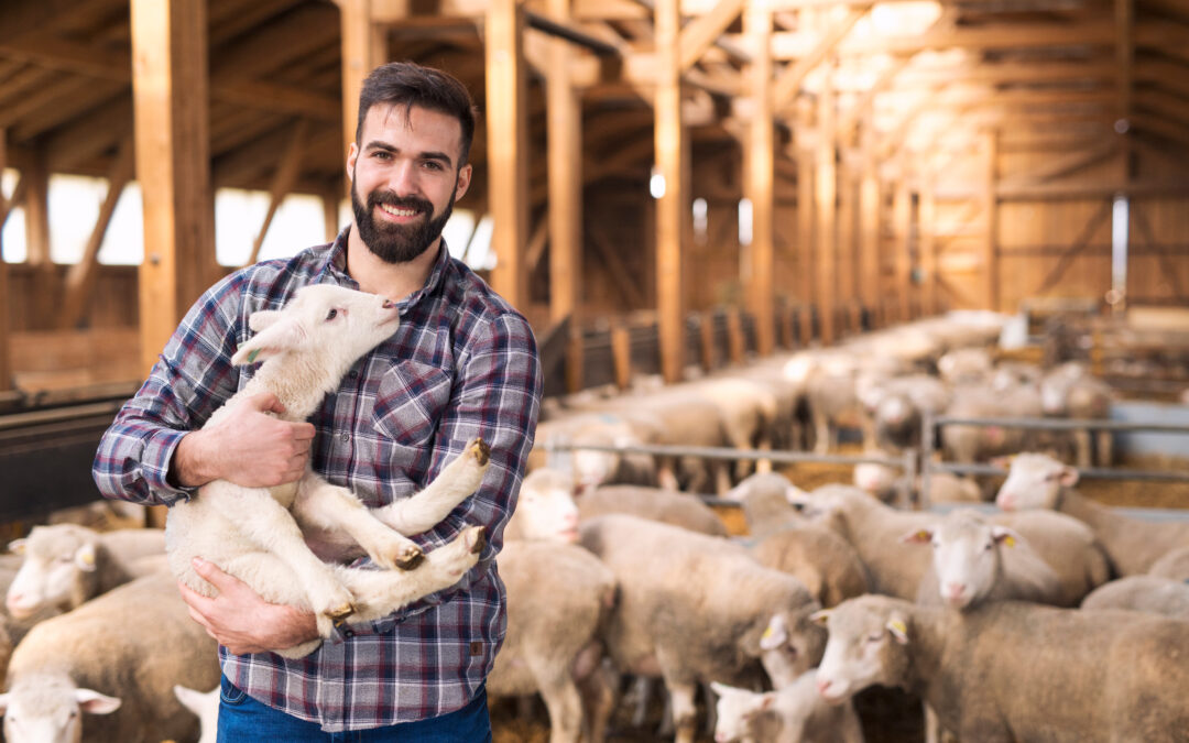 L’agriculture : un secteur pourtant si stratégique