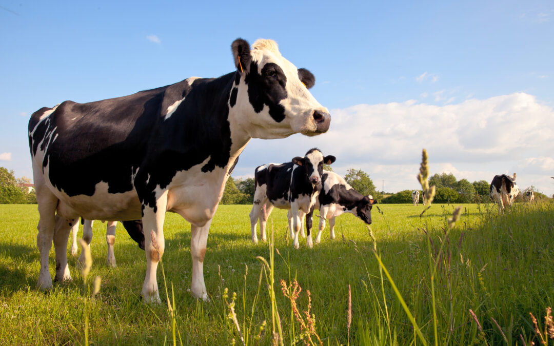 Les chantiers de l’agriculture