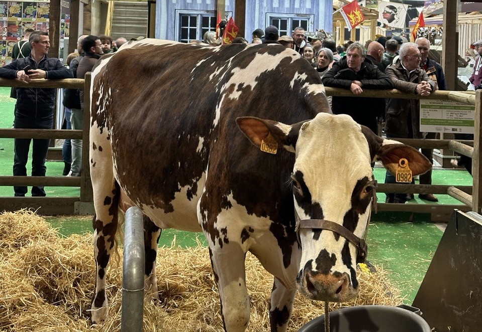 Les élu(e)s UDI au Salon International de l’Agriculture 2024