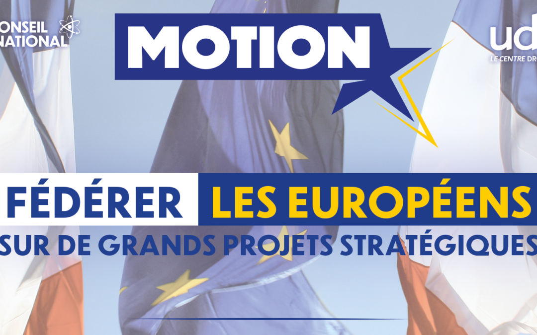 Motion pour les Européennes de juin 2024 adoptée