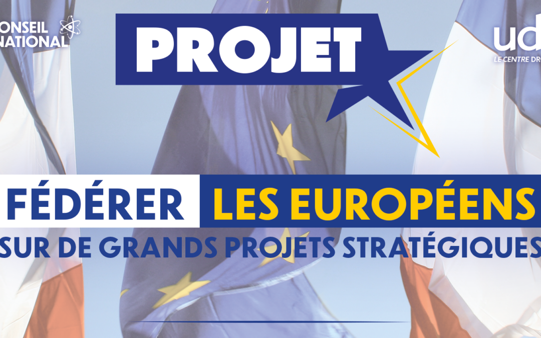 Projet de l’UDI pour les Européennes de juin 2024