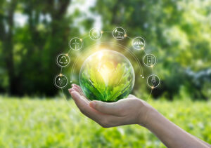 Hands,Protecting,Globe,Of,Green,Tree,On,Tropical,Nature,Summer