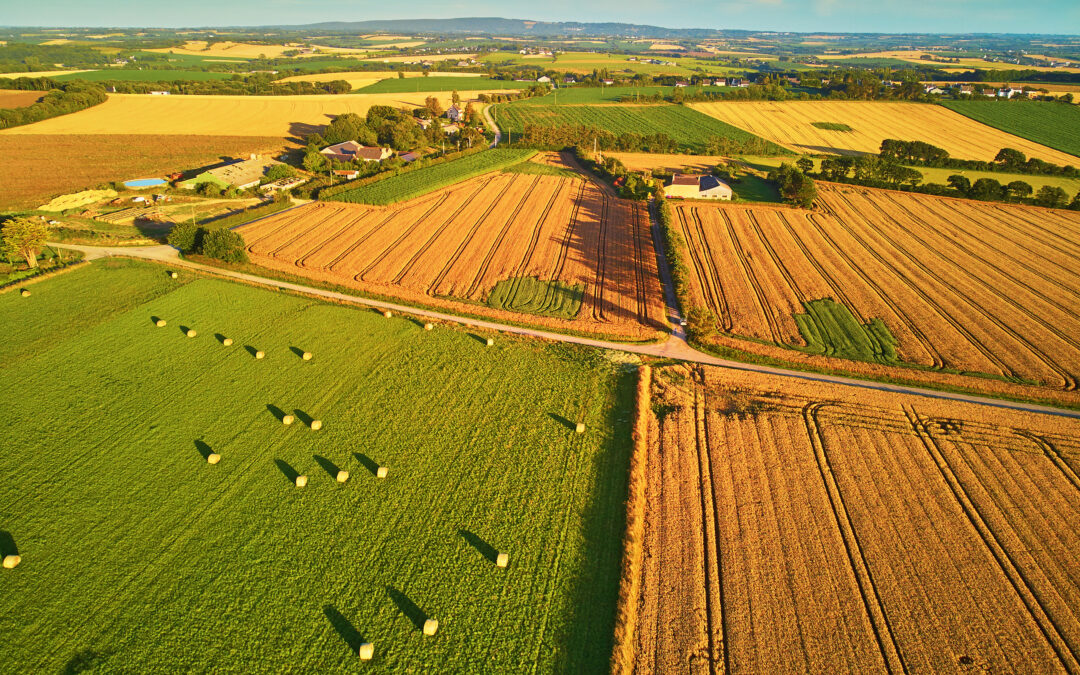 La France, l’Union européenne et notre compétitivité agricole 