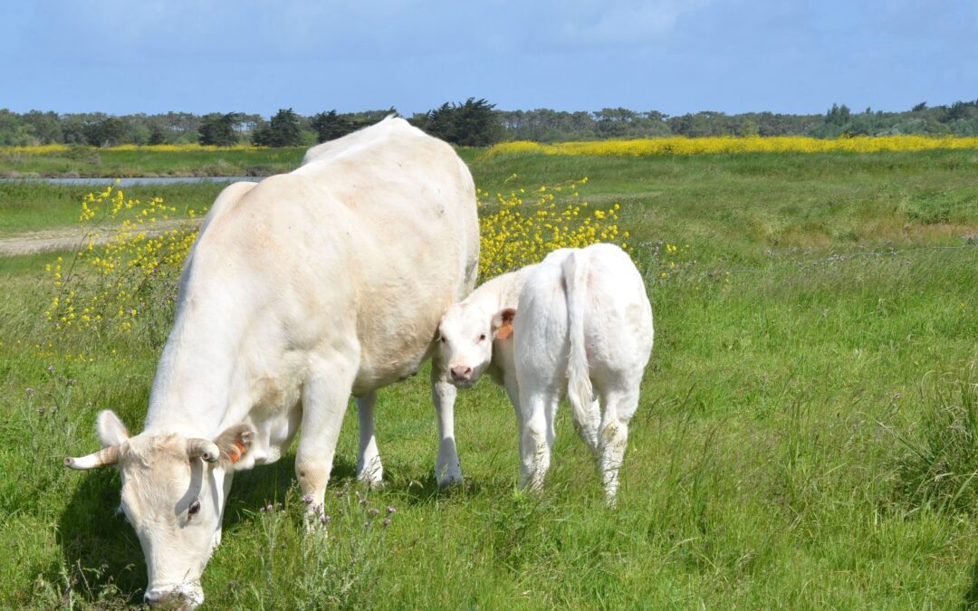 L’avenir de l’agriculture se joue au Parlement