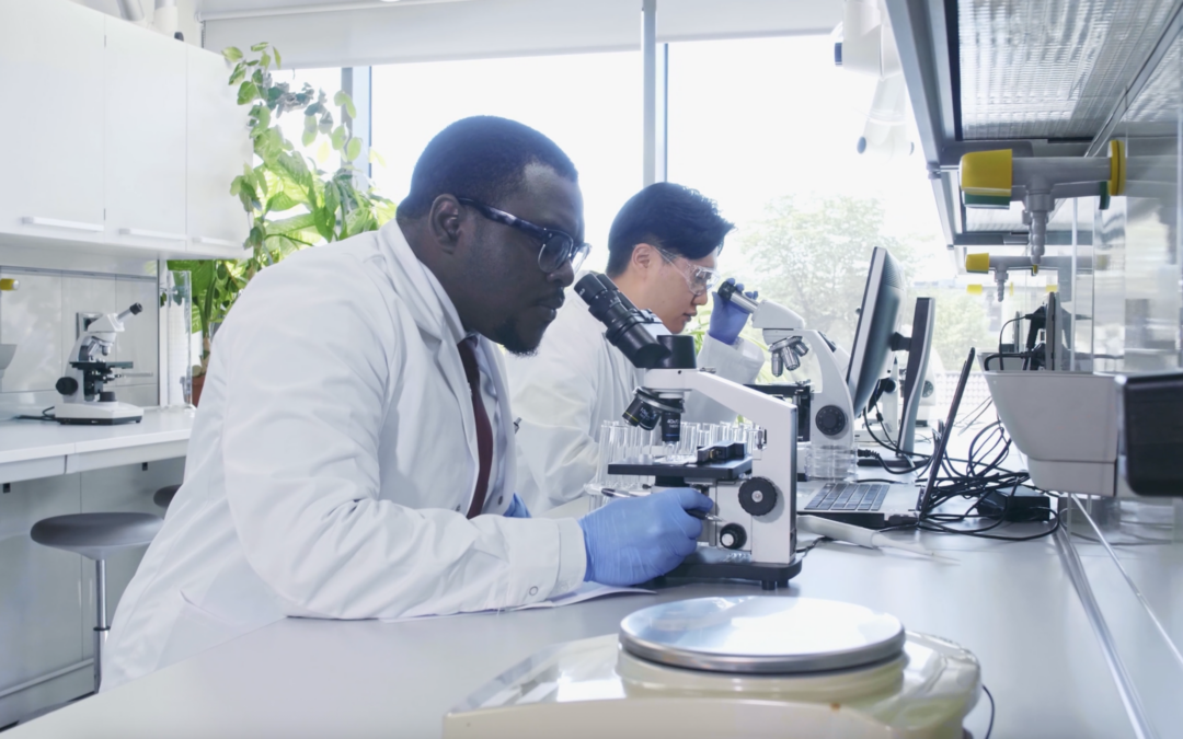 L’accueil des chercheurs américains en France : une opportunité à structurer durablement