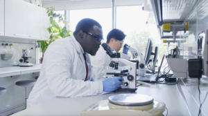 Scientifiques