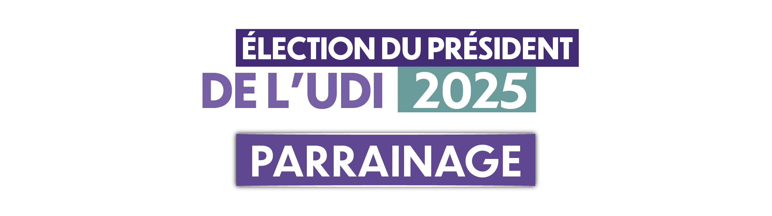 Parrainage du Président de l'UDI