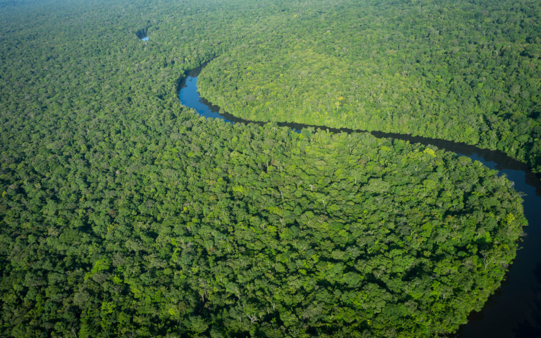 COP 30 à Belém, qu’en attendre ?