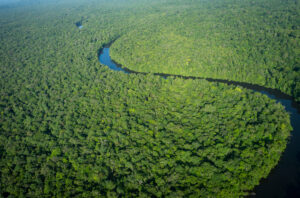 Une vue aérienne de l’amazonie