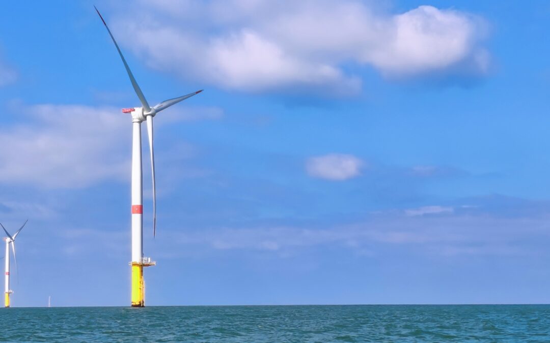 Éolien en mer : Pour un vrai développement durable alliant transition, biodiversité et pêche
