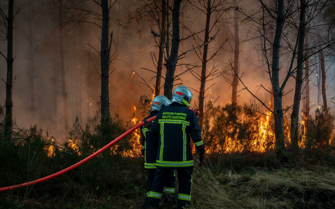 Feux en Gironde, quand un territoire souffre…
