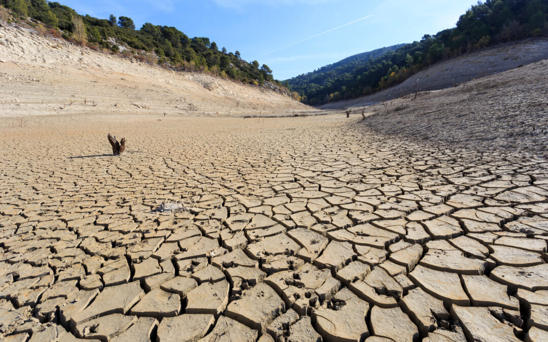 Eau, l’urgence d’agir !